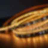 Variety of LED strip lights showcasing different colors and brightness