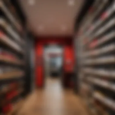 Specialized Lock Store Interior of a specialized lock store showcasing various lock models