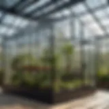 Transparent glass greenhouse structure showcasing plant growth.