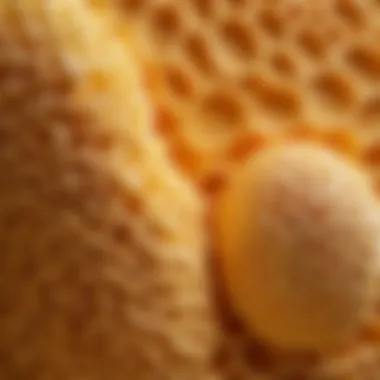 Exploring the Unique Texture of Melamine Sponge Melamine sponge showcasing its unique texture and structure