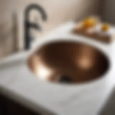 Various Mounting Techniques for Round Sinks Detailed guide showing various mounting techniques for sinks