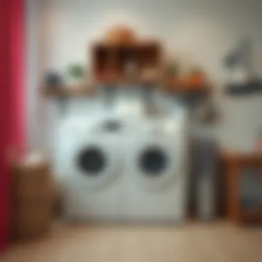 Методы очистки резинок в стиральной машине Summary