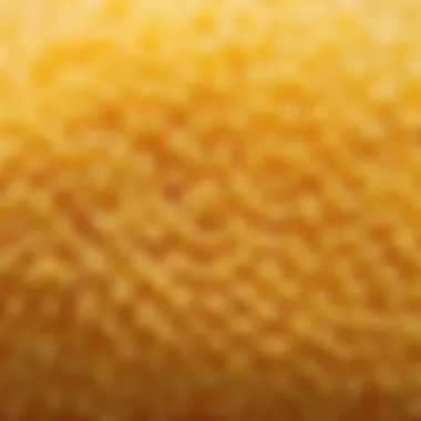 Detailed Look at Microfiber Texture Close-up view of microfibers showcasing their texture