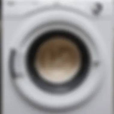 Close-up view of mold in a washing machine drum