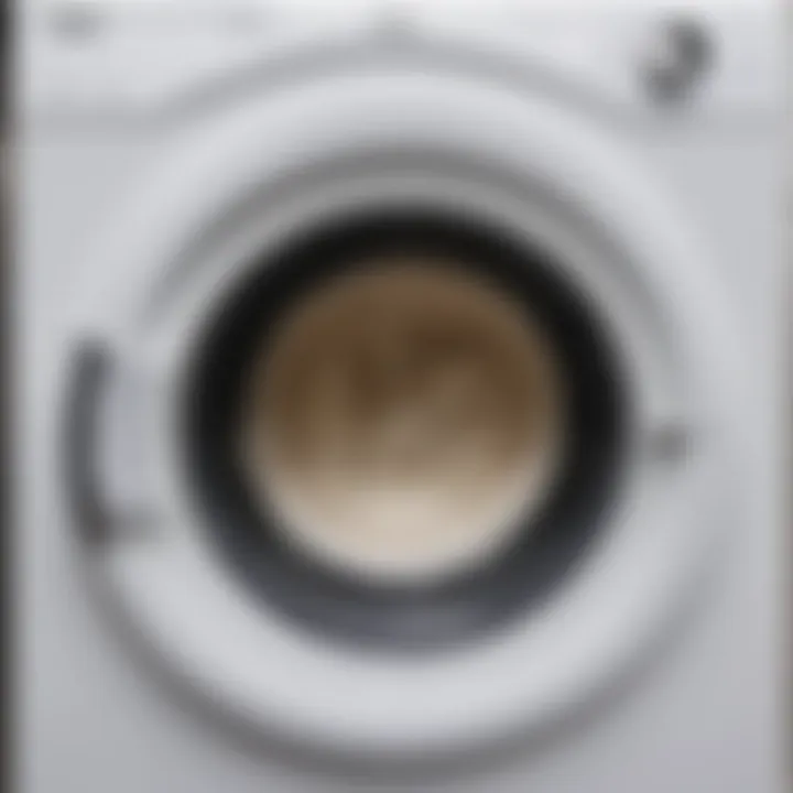 Close-up view of mold in a washing machine drum