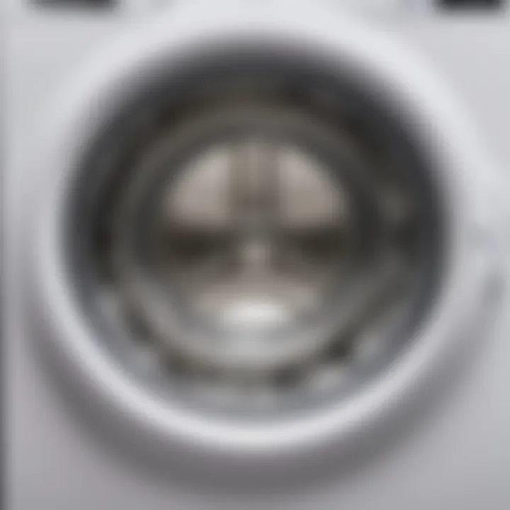 Moldy washing machine interior