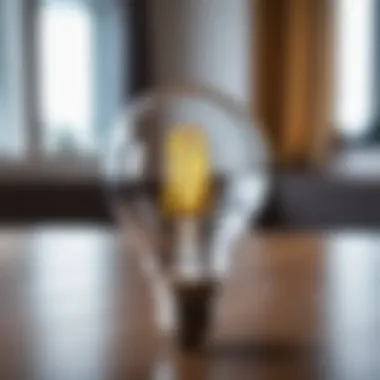 Close-up of a new LED light bulb