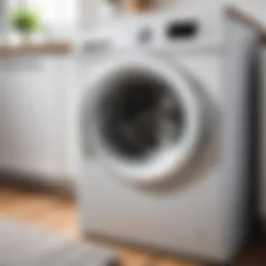 Odor-Free Washing Machine A well-maintained washing machine free from odors