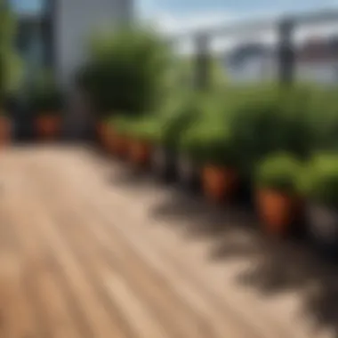 Ideal Conditions for Maintaining Terrace Board Integrity Visual representation of optimal environmental conditions for terrace board longevity