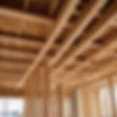 OSB in Modern Construction Application of OSB in a construction project demonstrating its versatility