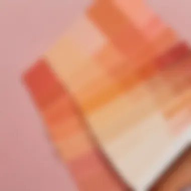 Diverse Variations of Peach in Paint Swatches Close-up of paint swatches showing peach variations