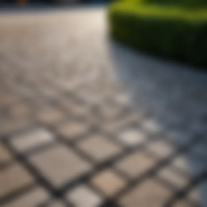 Paved walkway showcasing various patterns and textures