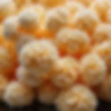 Understanding the Composition of Polyester Fiber Composition of polyester fiber showcasing its molecular structure