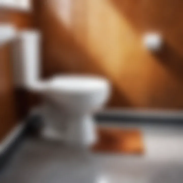 Steps to prevent rust in toilets