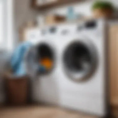 Preventive measures for washing machine upkeep