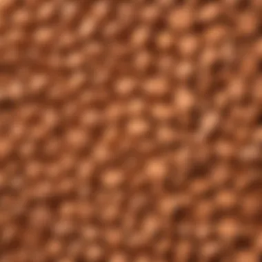 Expanded Clay Aggregate Overview Overview of expanded clay aggregate used in construction