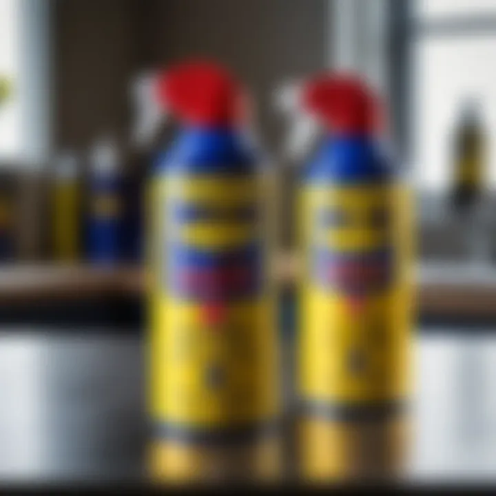 Применение WD-40: نحوжежи и подсказки Introduction