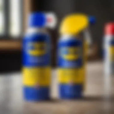 Notable Применение WD-40: نحوжежи и подсказки