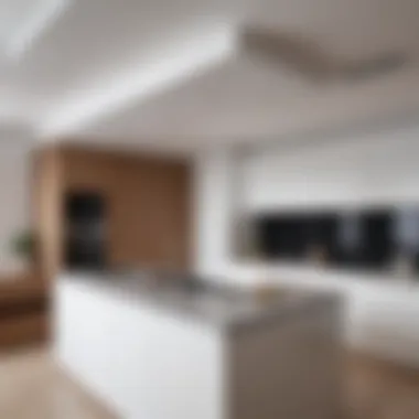 Safe cleaning agents for stretch ceilings displayed on a countertop