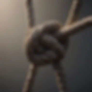 Secured Climbing Knot on Harness A detailed view of a properly tied climbing knot securing a harness.