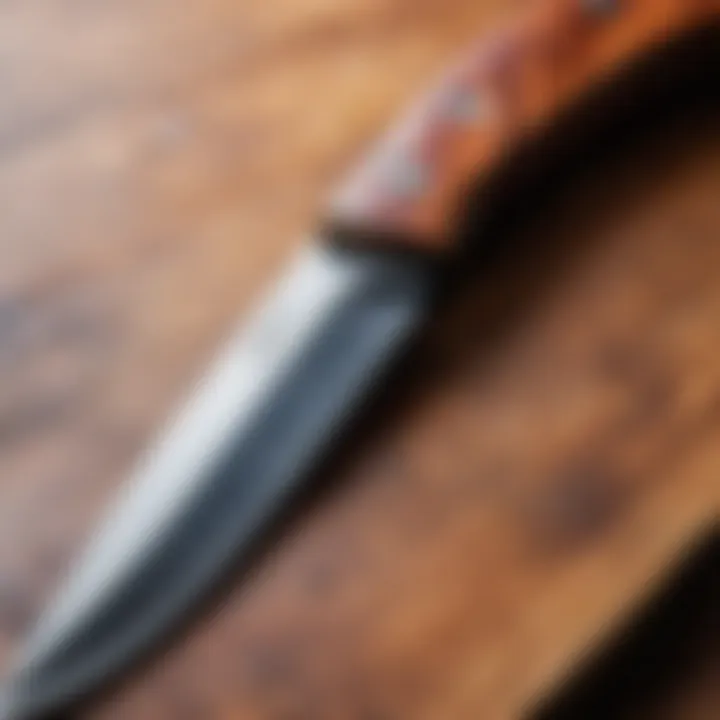 Close-up of a well-maintained, sharp knife ready for use