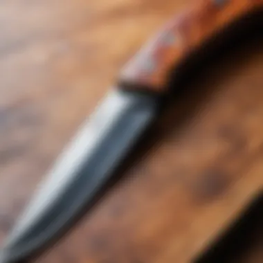 The Importance of Knife Maintenance for Longevity Close-up of a well-maintained, sharp knife ready for use