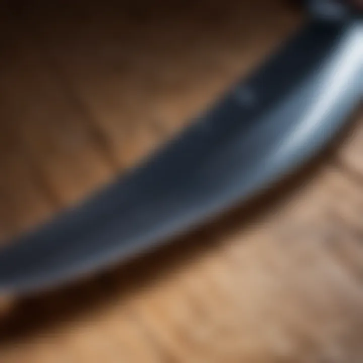 Close-up of a knife blade after sharpening, showing its edge