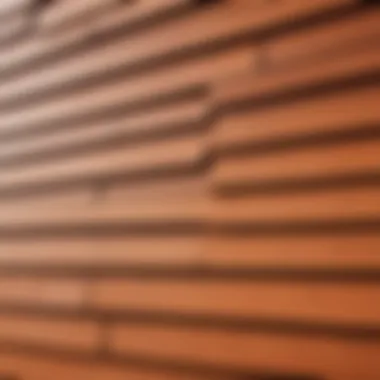 Tips for Maintaining Your Siding Maintenance tips for siding care