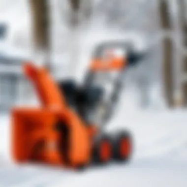 Comparative advantages and disadvantages of snow blowers