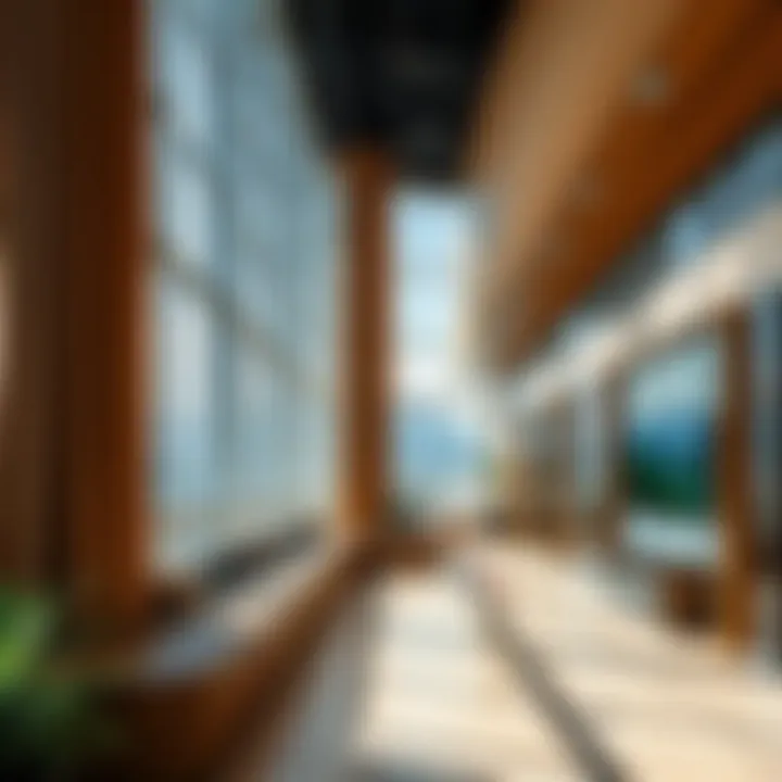 Infrastructure amenities at Sochi-Park