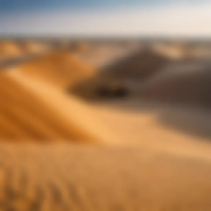 A landscape showing the ecological balance of sand extraction areas.