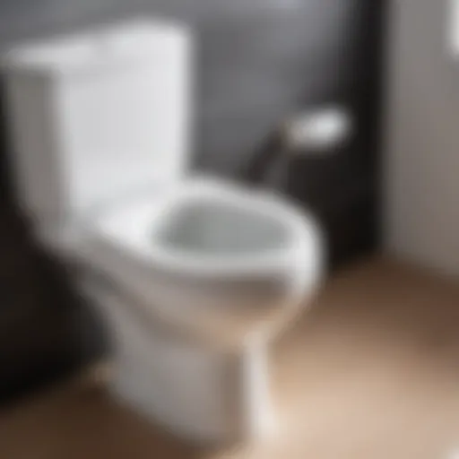 Close-up view of a siphon toilet showcasing its unique angled outlet design