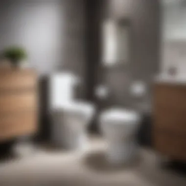 Final checks for toilet functionality