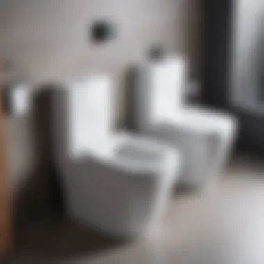 Rimmed vs Rimless Toilet Designs Comparison of rimmed and rimless toilet designs