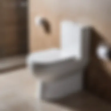 Functional Features of Toilets Functional features of rimmed and rimless toilets