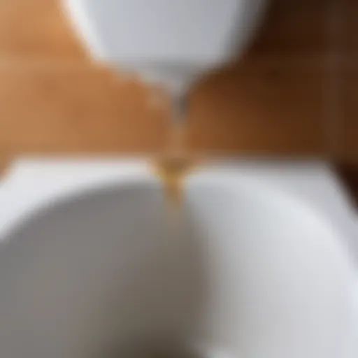 Close-up view of a leaking toilet tank