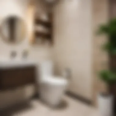 Ease of Maintenance for Toilets Maintenance ease of different toilet types