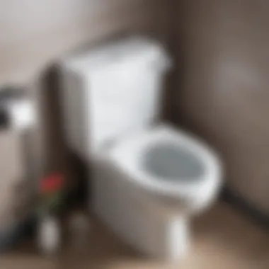 Understanding the Internal Components of a Toilet Tank Internal components of a toilet tank, showcasing their arrangement and functionality.