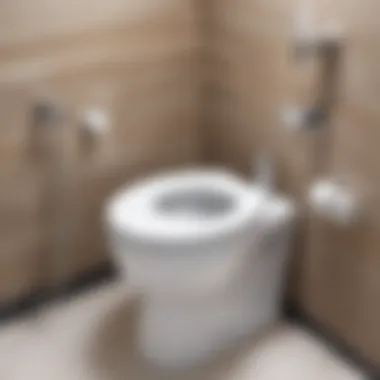 Understanding the Mechanism of Water Flow in Toilets Diagram showing the internal mechanism of a toilet tank