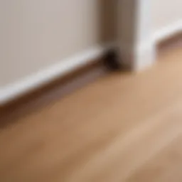 Various types of floor skirting boards showcasing diverse designs and materials.