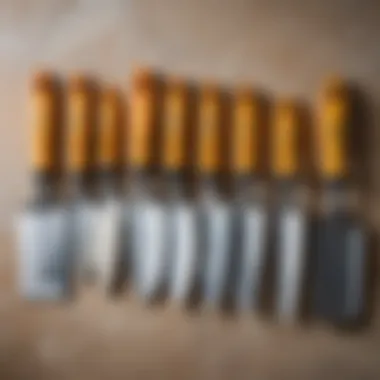 Different Types of Plastering Trowels Various types of plastering trowels lined up, highlighting their differences.