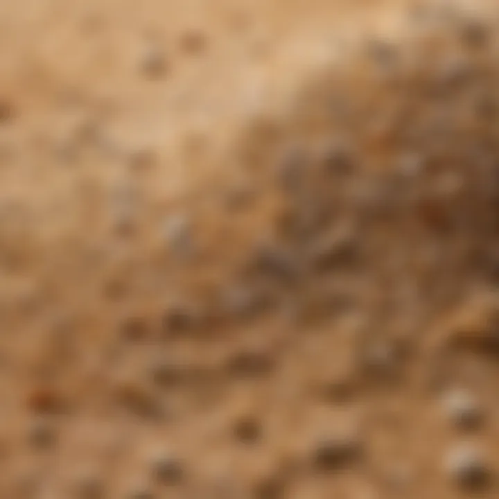 A close-up of various sand grains highlighting texture and quality.