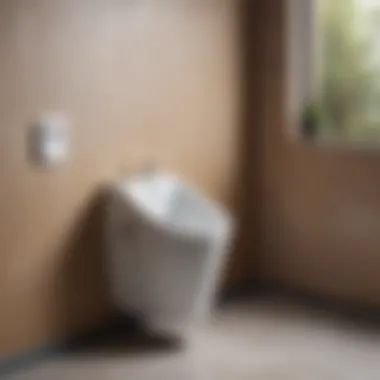 Visual representation of urinal installation in diverse settings