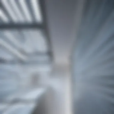 Exploring the Diversity in Fluorescent Lamp Types A variety of fluorescent lamps arranged to illustrate different types and designs.