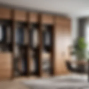 Different styles of wardrobe systems side by side