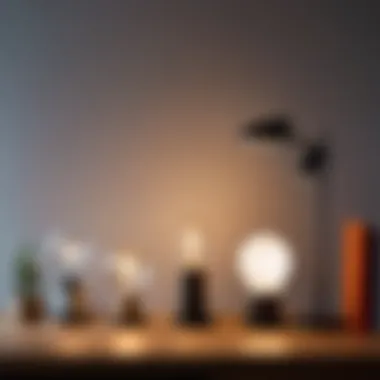 Various LED Lamps Highlighting Price Range and Styles Various LED lamps highlighting price range and styles