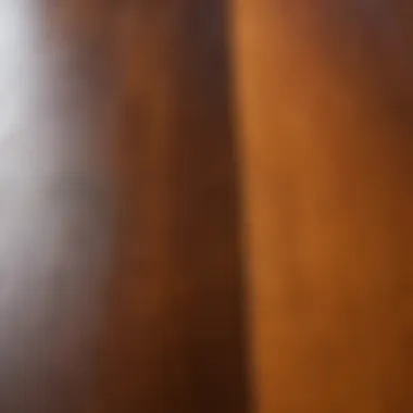 Comparing Varnish Finishes on Surfaces Sample surfaces treated with different varnish finishes