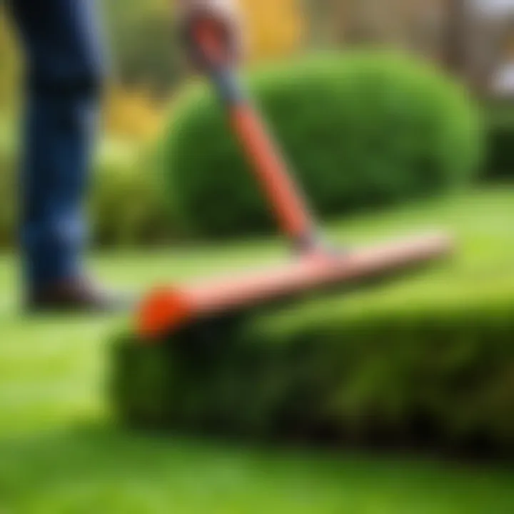 Close-up of moss removal with a vertical cutter