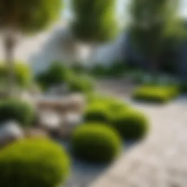Designing a Vibrant Green Space A vibrant green space with a mix of shrubs, trees, and decorative stones