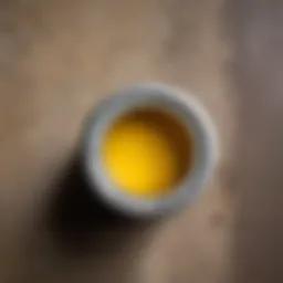 Essential components of wall paint